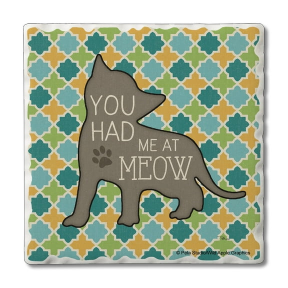 Thirstystone "Had Me At Meow" Single Tumbled Tile Coaster