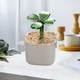 thumbnail image 5 of Ornamento de vidrio Boshan verde Four Leaf CloverS, vaso de cristal, decoración de escritorio, regalo de succulente, estilo moderno, alto rendimiento, resistente, para oficina, 6 pulgadas, 5 of 7