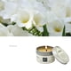thumbnail image 1 of ¡Precio rebajado! Velas Aromáticas Purificación Aromaterapia Soja Natural por Tiempo Limitado, 1 of 3