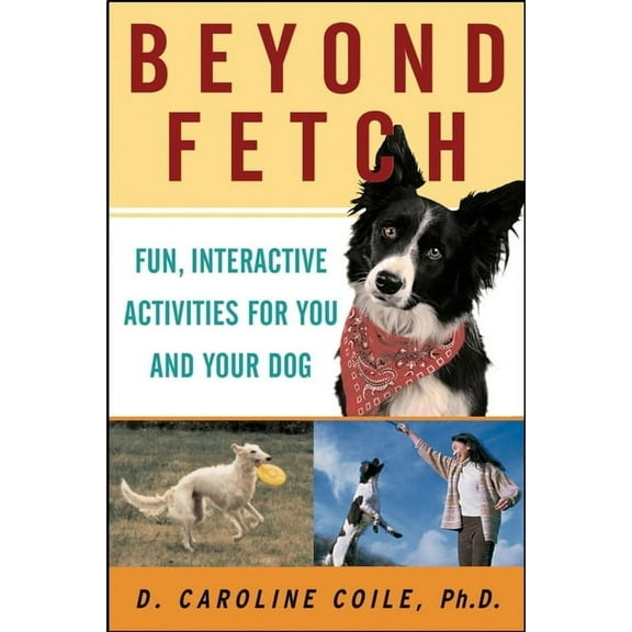 Beyond Fetch: Fun, Interactive Activities for You and Your Dog