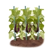 EcoStake Garden Stakes for Plants Vegetable Fence Post 1/4x48, Pack of 40 Fiberglass Stakes Tree/Cucumber/Tomato/Bean Pole Stake Rust-free
