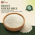 thumbnail image 5 of NY SPICE SHOP Sweet Rice Sticky Rice - 1 Pound - Short Grain Glutinous Rice for Desserts, Sushi & Asian Dishes - Soft Texture Cooking Rice, 5 of 7