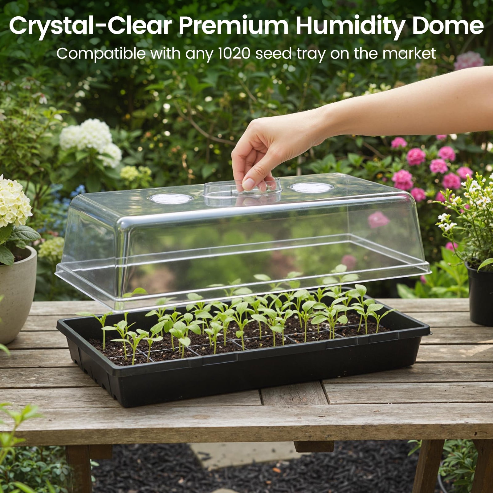 20 Pack Heavy Duty 5" Humidity Dome for 1020 Seed Starter Trays – Clear Vented Propagation Cover & Cloning Lid for 10x20 Flats, Seed Starting & Germination