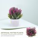 thumbnail image 3 of IDEANATEGRATE Planta Artificial En Maceta Simulación Lavanda Decorativa Para Interior Color Multi, 3 of 6