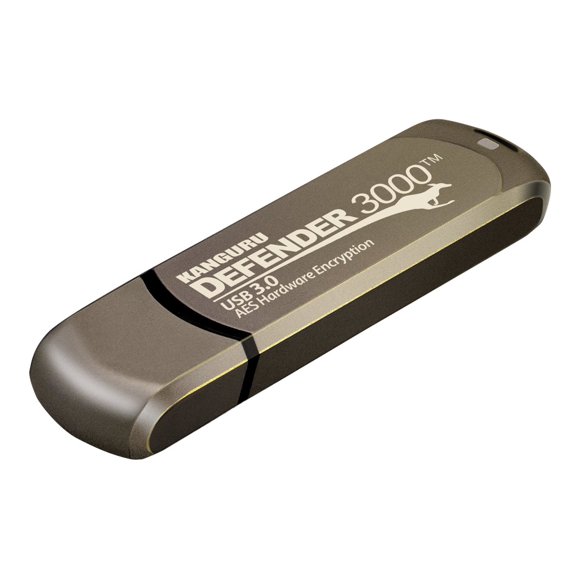 Kanguru Encrypted Defender 3000 - USB flash drive - encrypted - 64 GB - USB 3.2 Gen 1 - FIPS 140-2 Level 3 - TAA Compliant