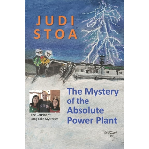 The Cousins at Long Lake Mysteries: The Mystery of the Absolute Power Plant (Paperback)