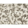 thumbnail image 2 of Frank, Assaf 24x19 Black Ornate Wood Framed with Double Matting Museum Art Print Titled - Viburnum Juddii flowers, 2 of 4