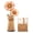 Orange Gerbera Daisy, variant on Robotime 3D Wooden Puzzle Red Carnation DIY Model Building Kits Artifical Flower Toys for Girls Adults for Thanksgiving & Mother's Day & Valentine's Day & Birthday Gifts
