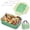 Apple Green, variant on MDHAND 2-in-1 Divided Lunch Box with Lunch Bag, Bento Box with Cutlery Set, 2 Tier Food Storage Containers, Microwave Safe PP6 Material, Leak Proof with Silicone Seal, Sakura Pink