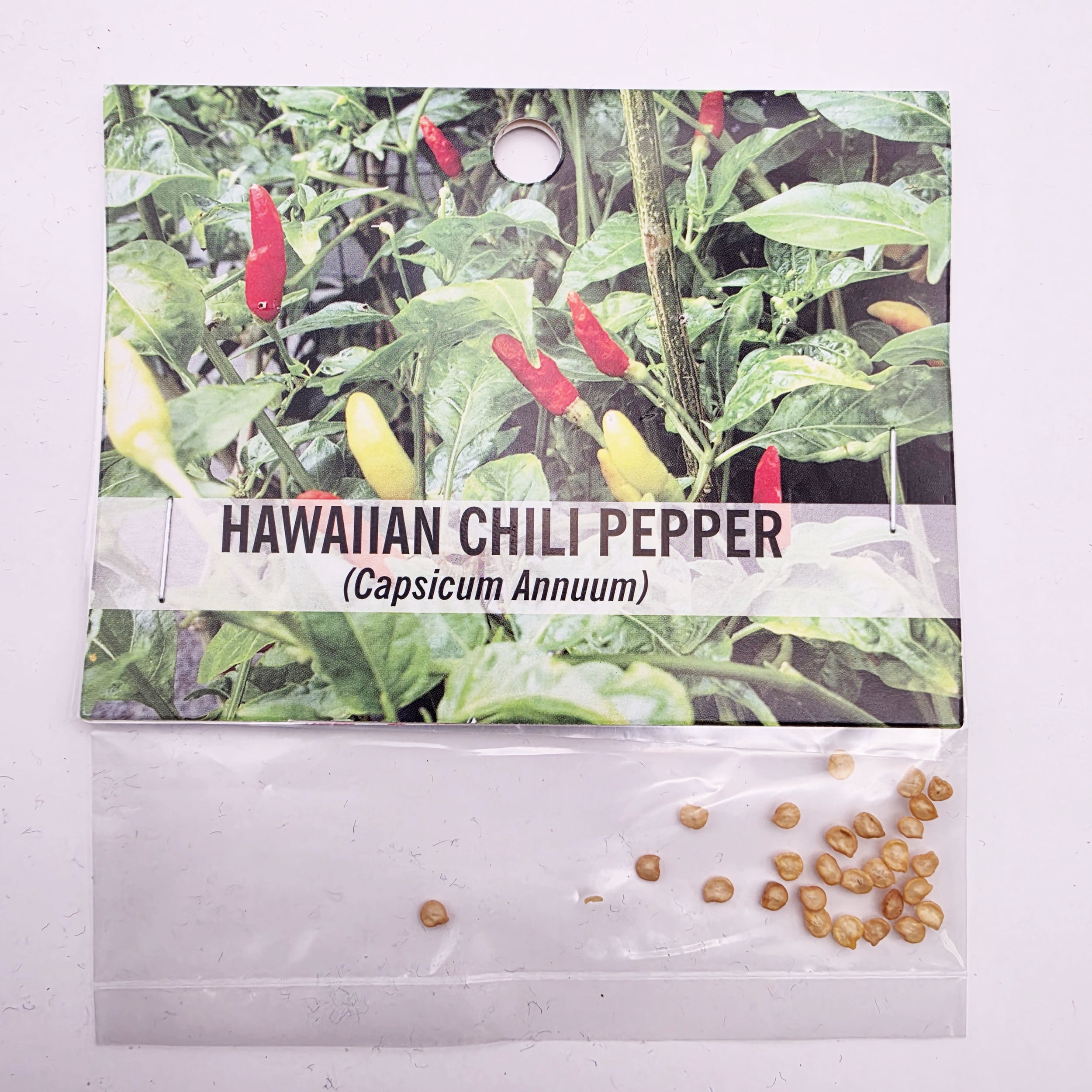 Souvenir Plant Seed Pack Chili Seeds