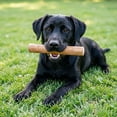 thumbnail image 2 of Coffee Wood Dog Chew Stick, Tough Chew Toy for Aggressive Chewers, Dog Teething Toy for Puppies, Coffee Tree Stick for Small Dogs, Chew Stick for Chewing Training, Pack of 1, 2 of 5