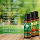 thumbnail image 2 of Aceite Para Masaje VIDA SCENTS Almendras y Linaza (60 ML) 3 piezas Vida Scents aceite_Almendras_y_Linaza_60ml, 2 of 4