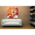 thumbnail image 4 of Epic Art 'Fleur Rouge II' by Tim O'Toole, Acrylic Glass Wall Art, 36"x36", 4 of 6