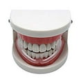 Mouth Guard for Clenching Teeth ComfortFit Dental Guard for
