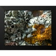 thumbnail image 2 of Grayscale 18x15 Black Modern Framed Museum Art Print Titled - Lichen III, 2 of 5