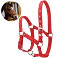 thumbnail image 1 of Horse Halter Thickened Adjustable Creative Horse Bridle Horse Head Collar, 1 of 8