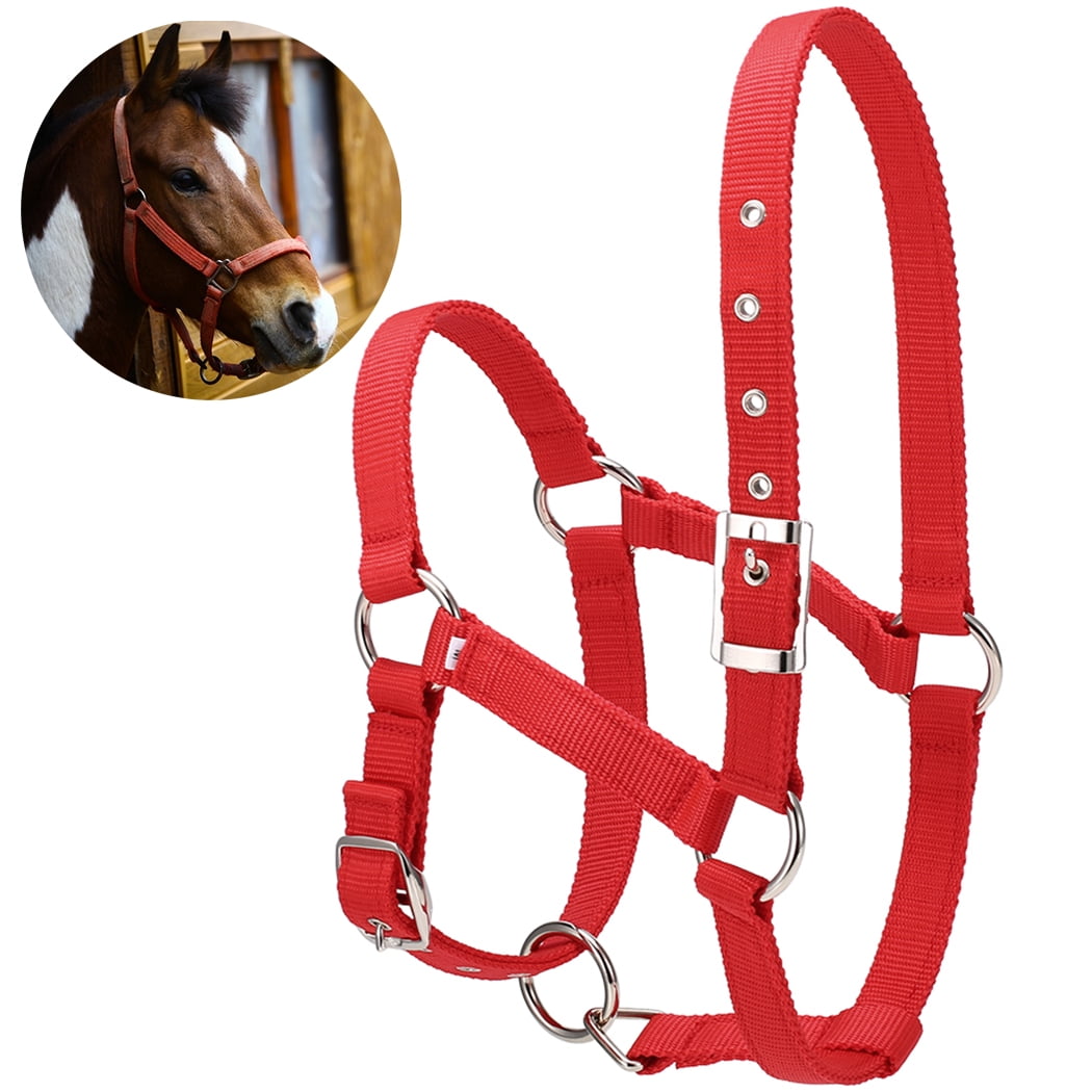 Licol De Tête En Cuir Réglable Et Rembourré Pour Cheval – Couleur Marron