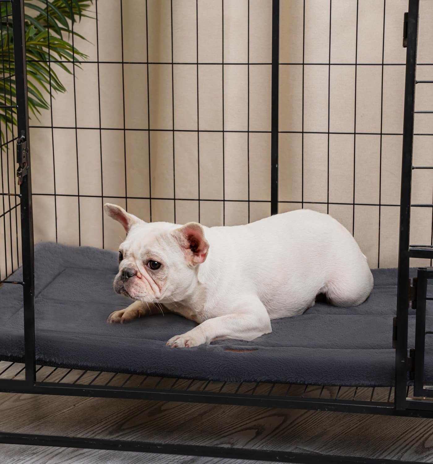 Made4pets Washable Dog Bed for Size Dogs, Reversible Foam Floor Dog Mat, 48*30, Dark Gray