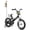 Black, variant on JOYSTAR Little Rock Boys bike with Flag & Number Plate,16 inch Kids Bike, Green