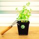 thumbnail image 4 of unbranded Etiquetas Para Macetas De Plantas En PVC Resistentes Y Autoadhesivas Para Jardín Hidropónico, 4 of 8