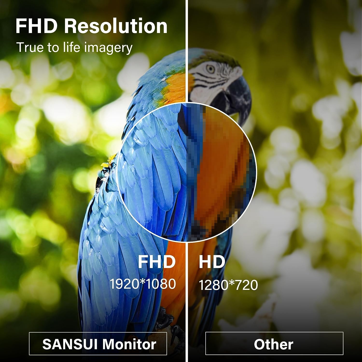 SANSUI Monitor de 24 pulgadas 100Hz IPS USB Type-C FHD 1080P Pantalla de  computadora Altavoces incorporados HDMI DP HDR10 Juego RTS/FPS Inclinación