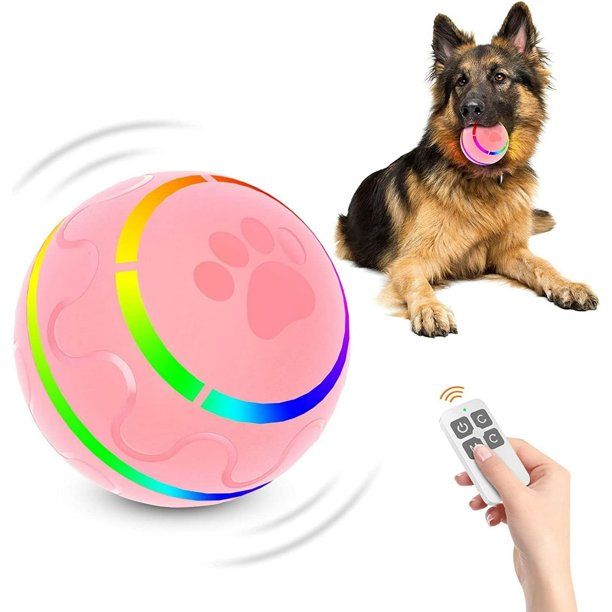 Lighted dog ball toy hot sale