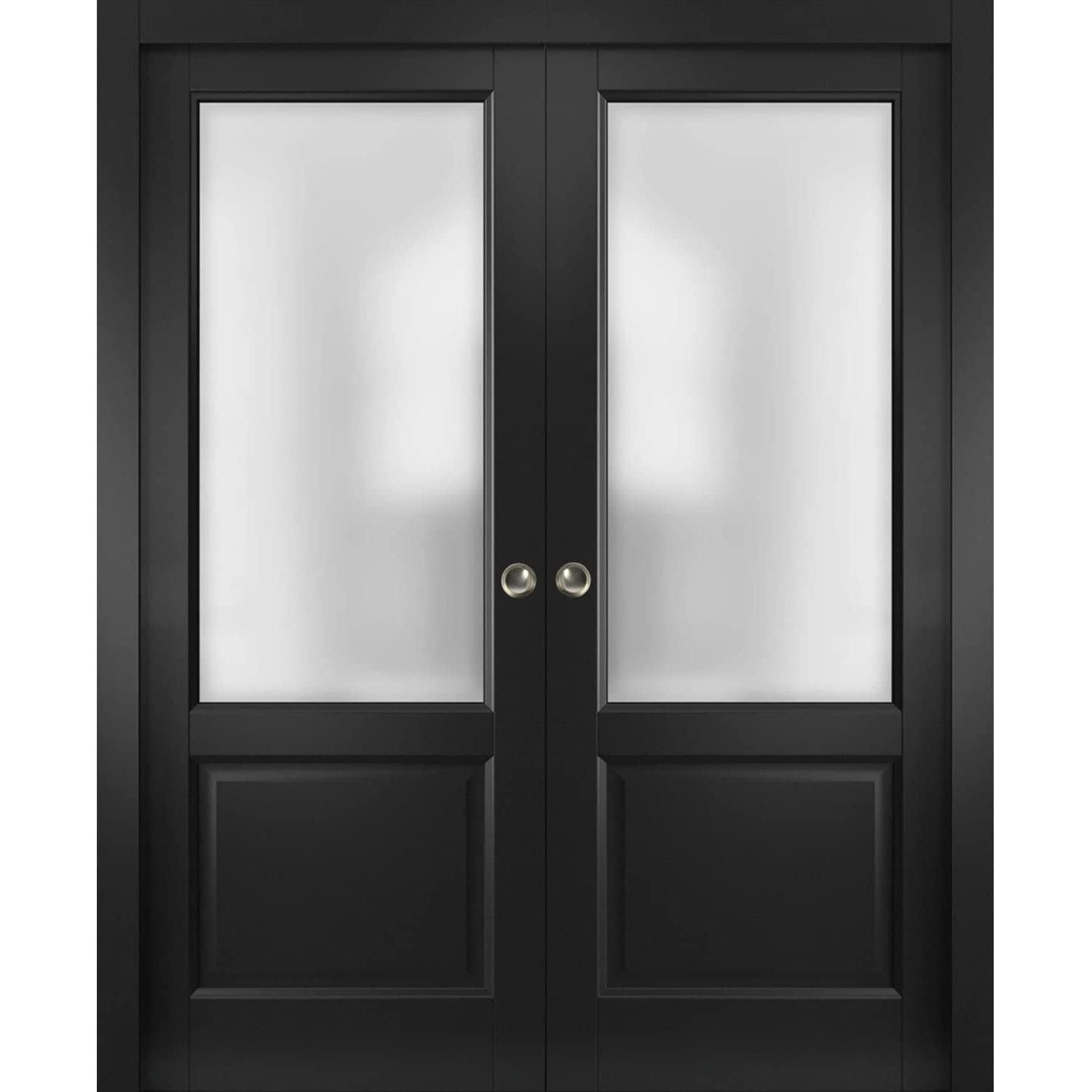 Sliding French Double Pocket Doors Lucia 22 Matte Black with Rain