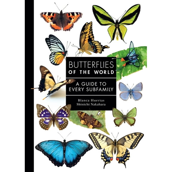 Guide to Every Family Butterflies of the World: A Guide to Every Subfamily, (Hardcover)