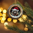 thumbnail image 4 of LanSuare Animal Ornaments for Christmas Tree, 3.1" 2D Acrylic Forest Animal Christmas Ornaments, Little Animals Christmas Hanging Ornament, Gift for Animal Lovers (Raccoon), 4 of 8