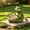 13.78, variant on Lalamomo 13.78" Moss Green Frog Statue Holding Bowl, Bird Feeder Figurine for Patio & Backyard, Green