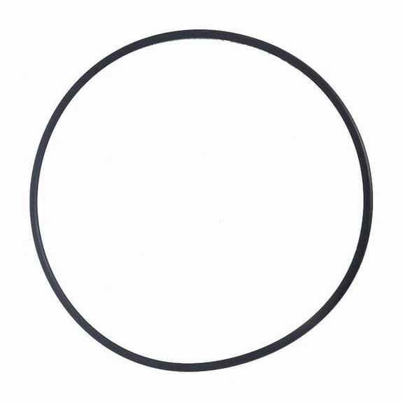 Tsurumi O-Ring (Casing) 200800060