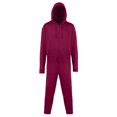 thumbnail image 1 of Comfy Co - Mono / Pijama de una Pieza Liso con Capucha Unisex (280 GSM) (Burdeos), 1 of 2