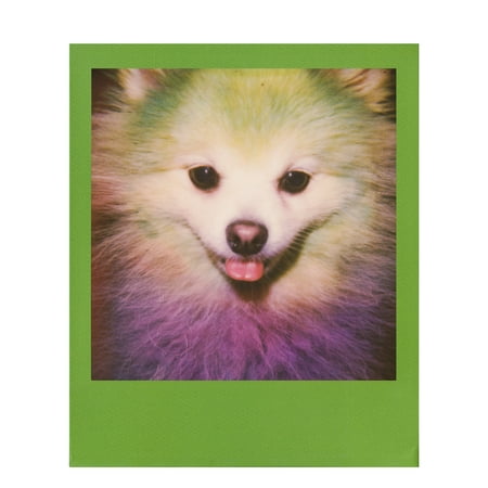 Polaroid - Color 600 Film - Color Frames