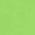 thumbnail image 4 of Playera Frutal Granadas San Joaquin Valley – Estilo Fresco con Sabor a Granada Ropa Para Mujer Color Verde Lima Talla Grande Marca Emil SaEs, 4 of 4