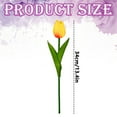 thumbnail image 3 of 1Pc Artificial Flowers Fake Tulip, Multicolored Tulip for Spring Indoor Table Cnterpiece Wedding Decorations Mother's Day Easter Gifts, Simulation Tulip Bouquet Floral Decor(Yellow,13.4x1"), 3 of 9