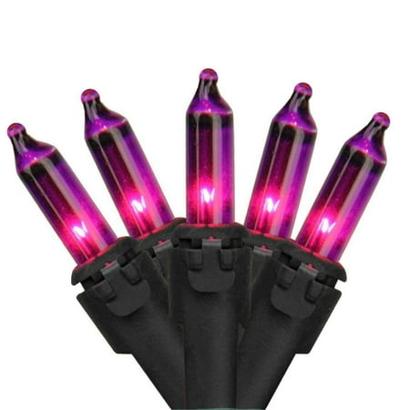 Brite Star 100ct Mini String Lights Purple - 49.6' Black Wire