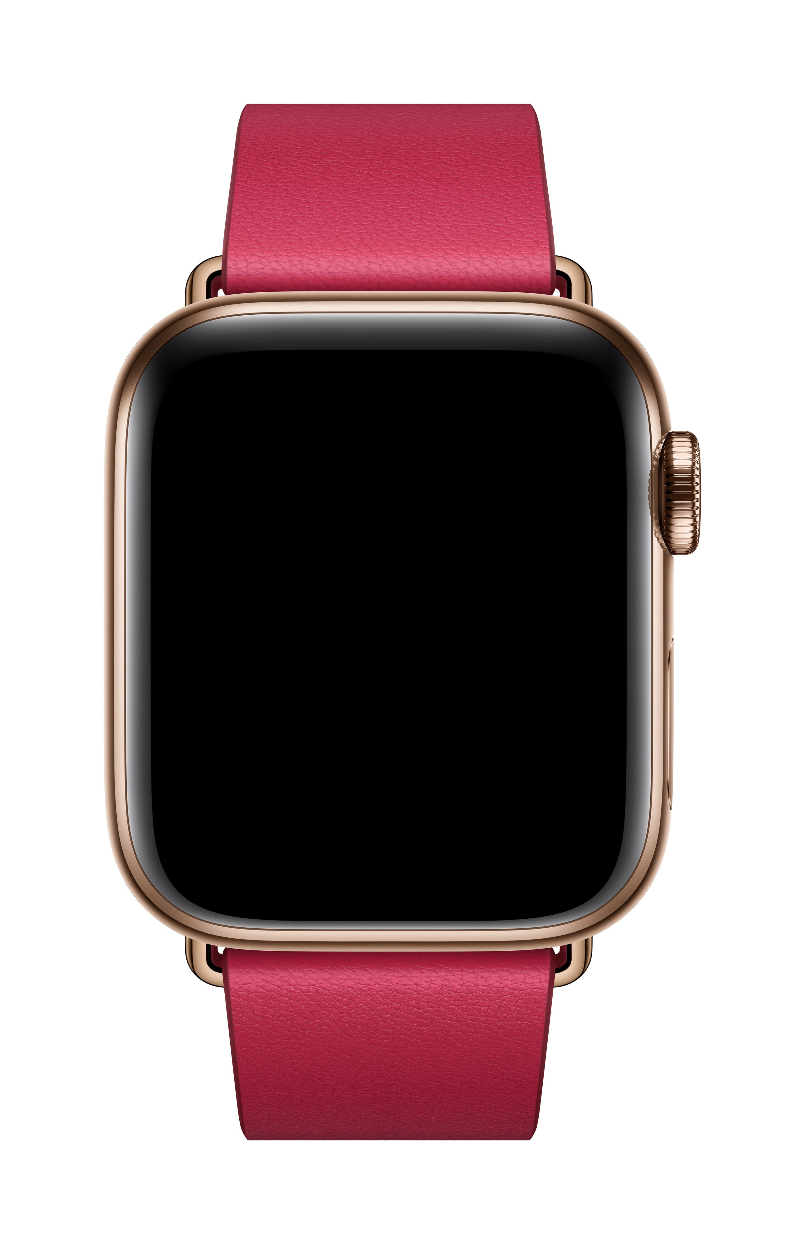 Raspberry modern buckle sale
