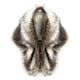 thumbnail image 1 of Sonducket Capa de invierno nupcial de plumas artificiales, chaqueta de boda, chal, abrigo, bufanda de calentamiento para fiesta de Navidad, Accesorios de disfraces Tipo 1, 1 of 6