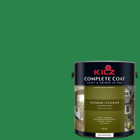 Magical Hummingbird, KILZ COMPLETE COAT Interior/Exterior Paint & Primer in One, (Best Color To Paint House Interior For Sale)