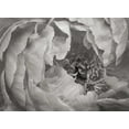 thumbnail image 2 of Vitaly Geyman 14x11 White Modern Wood Framed Wall Art Titled - Floral Intimacy VI, 2 of 5