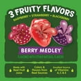 thumbnail image 3 of Black Forest Juicy Burst Fruit Flavored Snacks, Berry Medley, 0.8 oz, 22 Count, 3 of 9