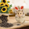 thumbnail image 4 of Mini Hat for Hamster Guinea Pig Knitted Cartoon Headwear for Small Animal Lizard Dragon Herret Snake Bird Rabbit, 4 of 4
