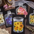 thumbnail image 3 of Bookmarks, Transparent Dried Flower Bookmarks, DIY Bookmarks Craft Set with 20Pcs Pressed Flowers, 20Pcs Clear Glassware Stickers (E), 3 of 6