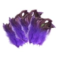 thumbnail image 5 of Abbraccia 50x Feathers for Crafts Colors Feather Handicraft Accessories Decorative Feathers for Holidays Hats Costumes Wedding Cosplay, 5 of 10