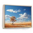 thumbnail image 2 of Designart "Solitary Horizons Of The Usa" Meadow Floater Framed Canvas Prints, 2 of 5