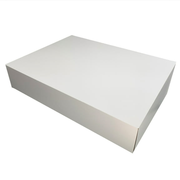 19" x 14" x 4" White Cake Boxes (2 Count)