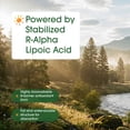 thumbnail image 3 of NatureBell R-Alpha Lipoic Acid - 90 Capsules - Delivers 1,200mg R-ALA Per Serving - Antioxidant & Cellular Energy Support - Stabilized R-Isomer ALA - Non-GMO & Gluten-Free - 30 Servings, 3 of 8
