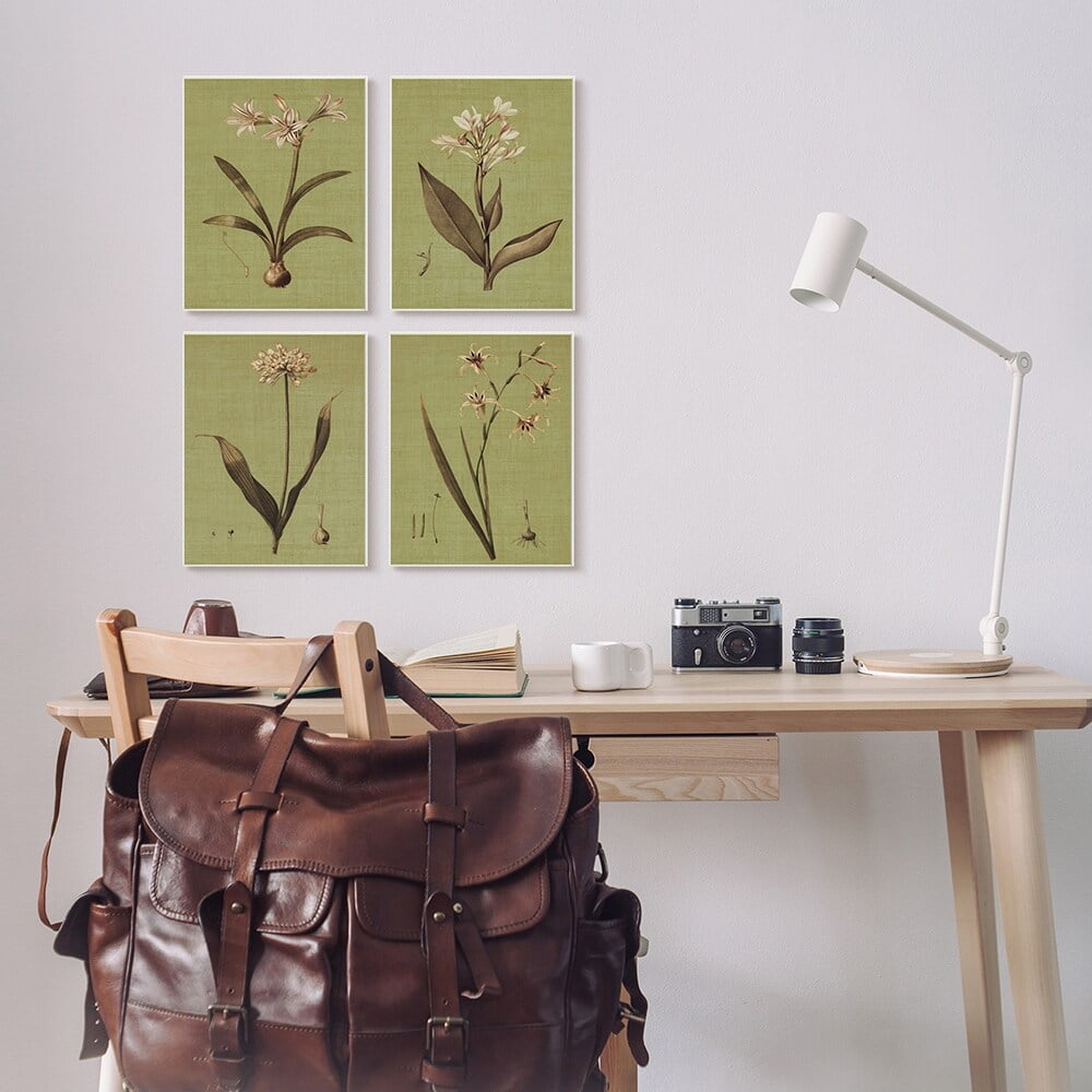 Stupell Industries Vintage Botanical Plant Illustration Scientific Study Black Framed by John Seba