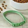 thumbnail image 4 of Vibrant Life Polyester Adjustable Collar for Dogs, Sage Green, Medium, 4 of 6