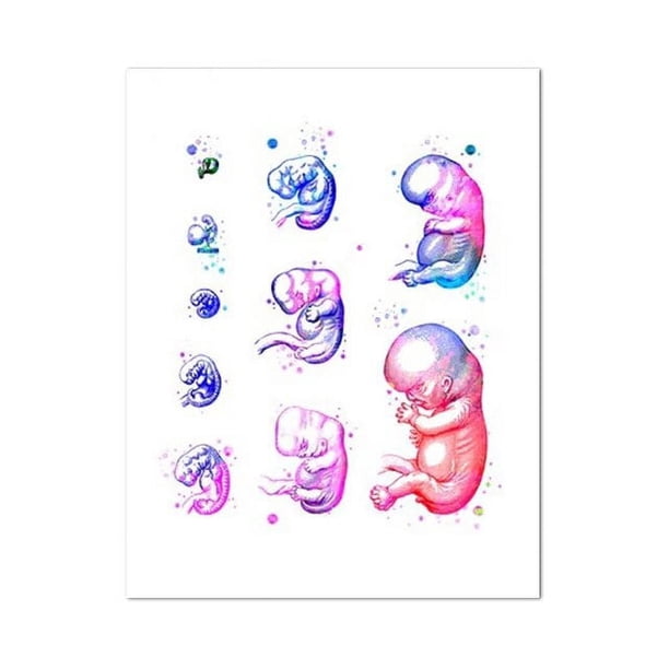 Arte de mujer embarazada, pintura de diamantes 5D, mosaico de diamantes, punto de cruz, Doctor, regalo de obstetricia, arte de acuarela de desarrollo de Embryo